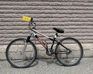 26-167- 21 Speed Giant Boulder Silver/Black MTN Bike