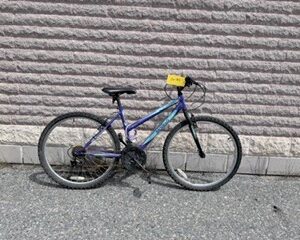 26-183 Movelo Algonquin 18' Purple & Teal Female MTN Bike